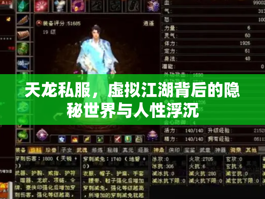 天龙私服，虚拟江湖背后的隐秘世界与人性浮沉