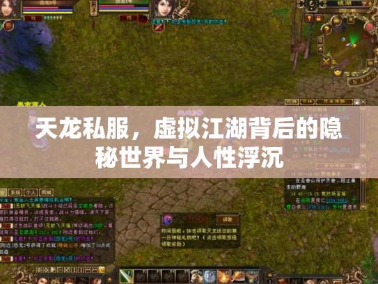 天龙私服，虚拟江湖背后的隐秘世界与人性浮沉
