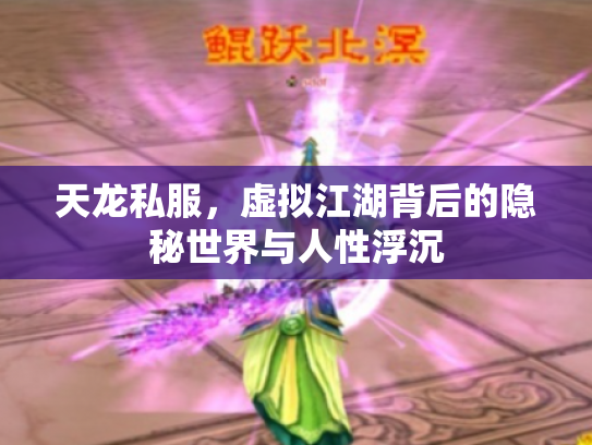 天龙私服，虚拟江湖背后的隐秘世界与人性浮沉