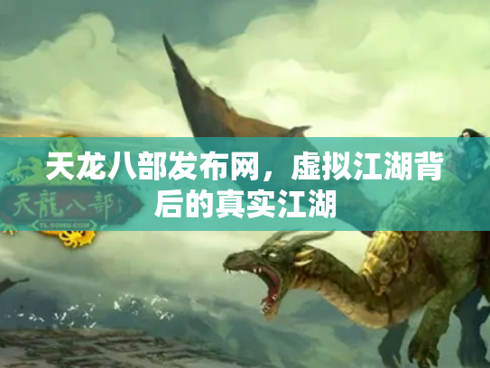 天龙八部发布网，虚拟江湖背后的真实江湖