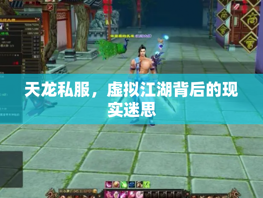 天龙私服，虚拟江湖背后的现实迷思
