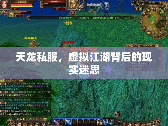 天龙私服，虚拟江湖背后的现实迷思