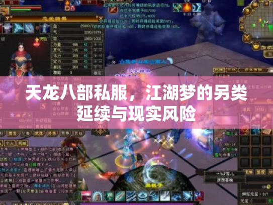 天龙八部私服，江湖梦的另类延续与现实风险