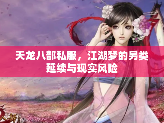 天龙八部私服，江湖梦的另类延续与现实风险