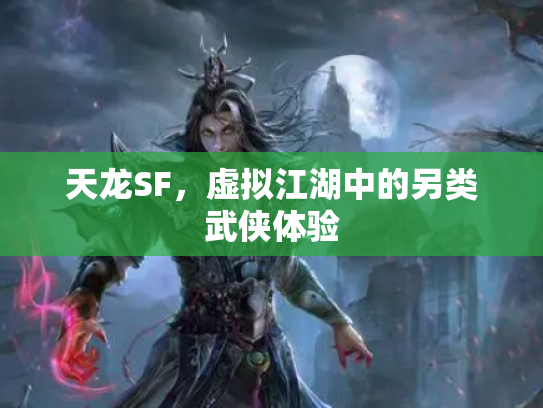 天龙SF，虚拟江湖中的另类武侠体验