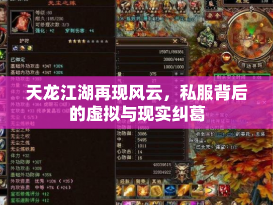 天龙江湖再现风云，私服背后的虚拟与现实纠葛