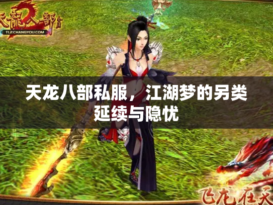 天龙八部私服，江湖梦的另类延续与隐忧