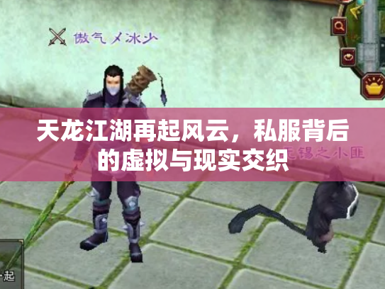 天龙江湖再起风云，私服背后的虚拟与现实交织