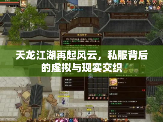 天龙江湖再起风云，私服背后的虚拟与现实交织