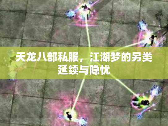天龙八部私服，江湖梦的另类延续与隐忧