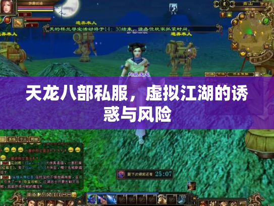 天龙八部私服，虚拟江湖的诱惑与风险