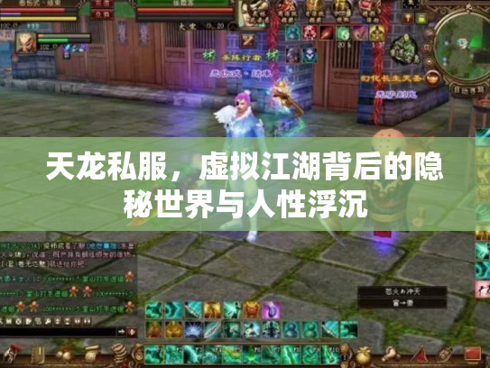 天龙私服，虚拟江湖背后的隐秘世界与人性浮沉