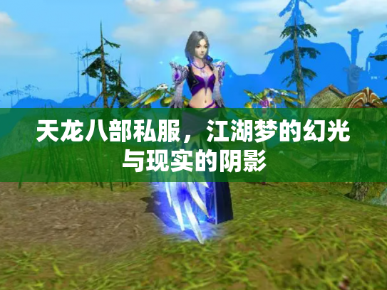 天龙八部私服，江湖梦的幻光与现实的阴影