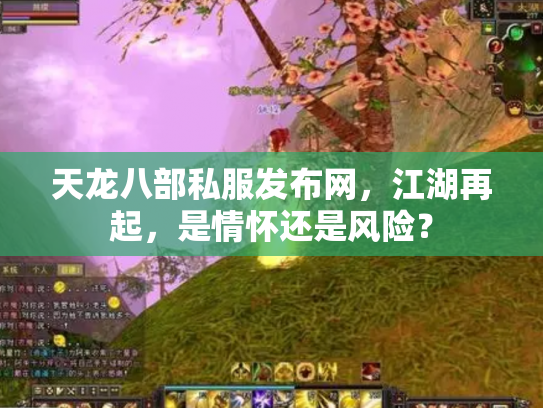 天龙八部私服发布网，江湖再起，是情怀还是风险？