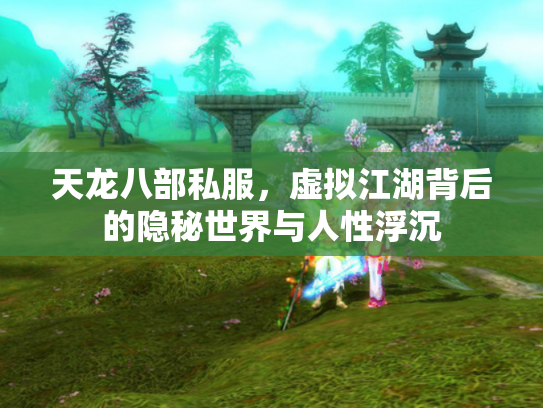 天龙八部私服，虚拟江湖背后的隐秘世界与人性浮沉