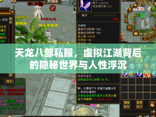 天龙八部私服，虚拟江湖背后的隐秘世界与人性浮沉