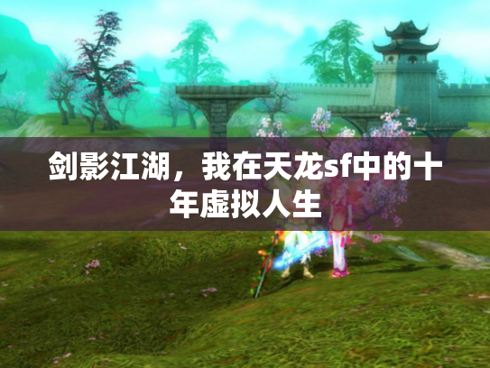 剑影江湖，我在天龙sf中的十年虚拟人生