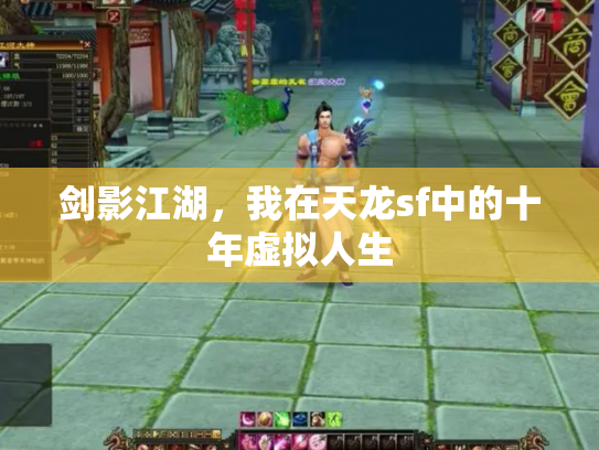 剑影江湖，我在天龙sf中的十年虚拟人生