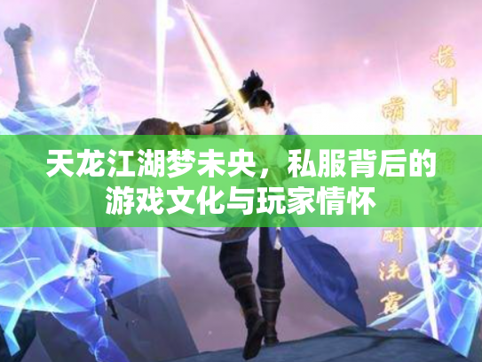 天龙江湖梦未央，私服背后的游戏文化与玩家情怀
