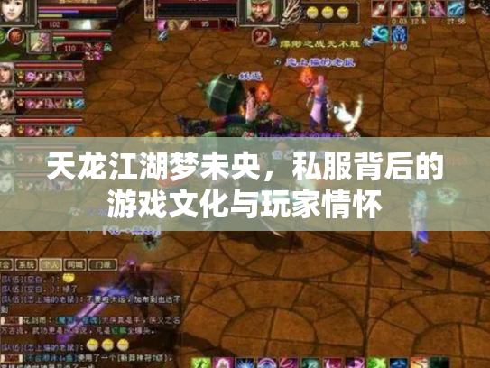 天龙江湖梦未央，私服背后的游戏文化与玩家情怀