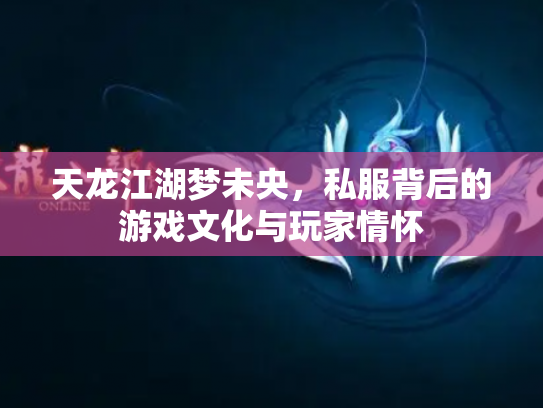 天龙江湖梦未央，私服背后的游戏文化与玩家情怀