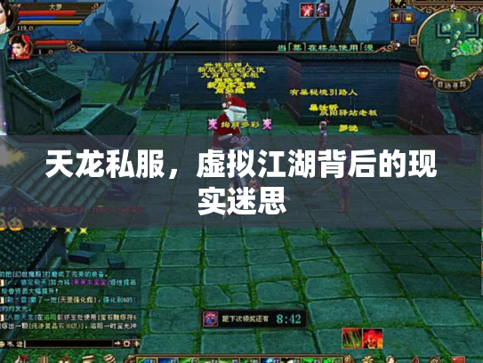 天龙私服，虚拟江湖背后的现实迷思