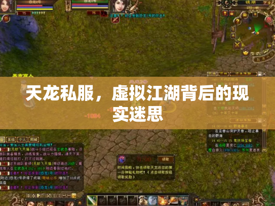天龙私服，虚拟江湖背后的现实迷思