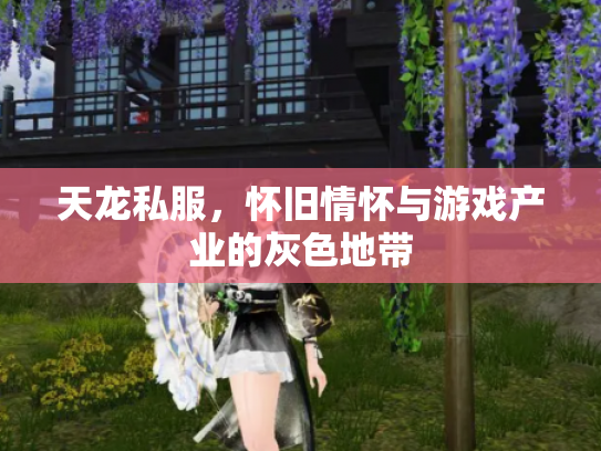 天龙私服，怀旧情怀与游戏产业的灰色地带