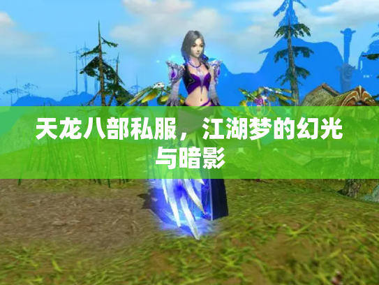 天龙八部私服，江湖梦的幻光与暗影