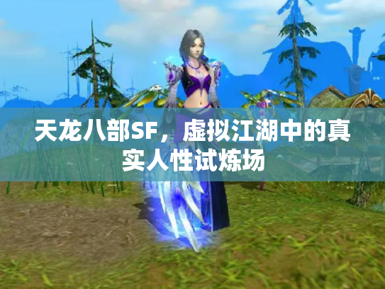 天龙八部SF，虚拟江湖中的真实人性试炼场