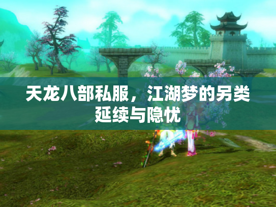 天龙八部私服，江湖梦的另类延续与隐忧