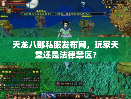 天龙八部私服发布网，玩家天堂还是法律禁区？