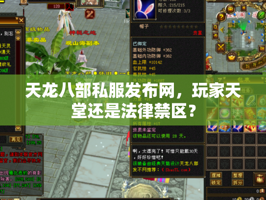 天龙八部私服发布网，玩家天堂还是法律禁区？