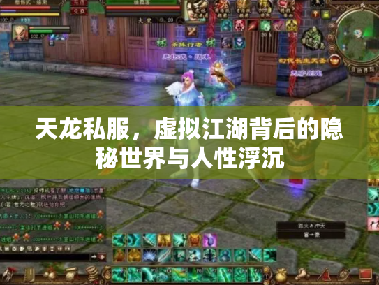 天龙私服，虚拟江湖背后的隐秘世界与人性浮沉