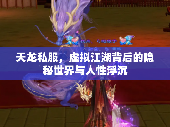 天龙私服，虚拟江湖背后的隐秘世界与人性浮沉