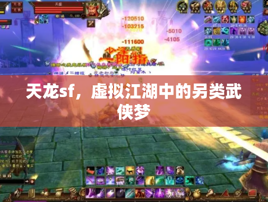 天龙sf，虚拟江湖中的另类武侠梦