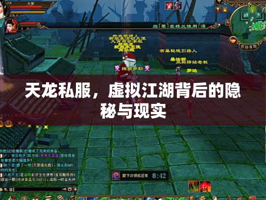 天龙私服，虚拟江湖背后的隐秘与现实