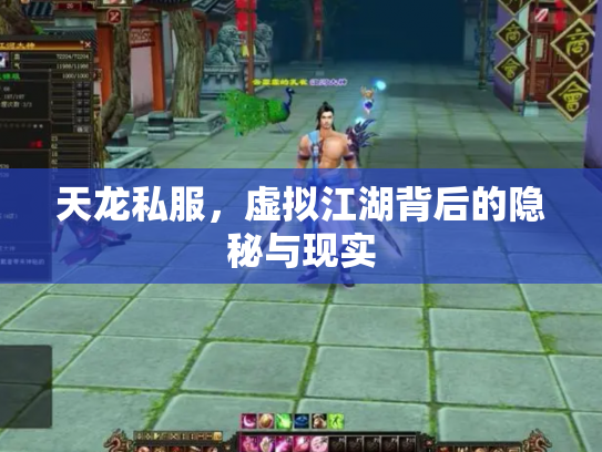 天龙私服，虚拟江湖背后的隐秘与现实