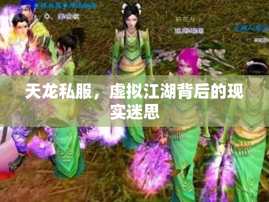 天龙私服，虚拟江湖背后的现实迷思