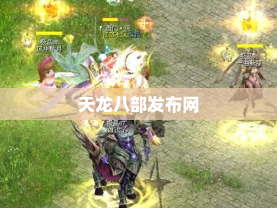 天龙八部发布网