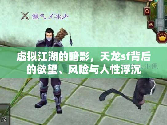 虚拟江湖的暗影，天龙sf背后的欲望、风险与人性浮沉