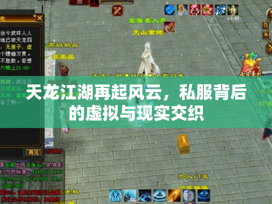 天龙江湖再起风云，私服背后的虚拟与现实交织