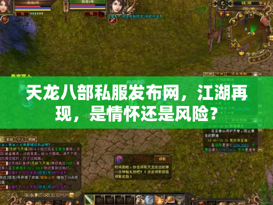 天龙八部私服发布网，江湖再现，是情怀还是风险？