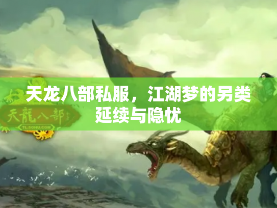 天龙八部私服，江湖梦的另类延续与隐忧