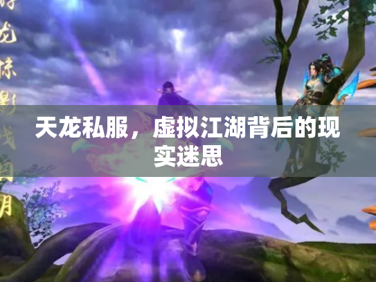 天龙私服，虚拟江湖背后的现实迷思