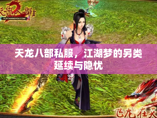 天龙八部私服，江湖梦的另类延续与隐忧