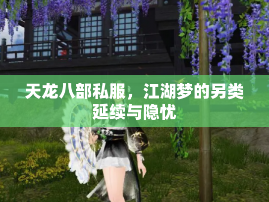天龙八部私服，江湖梦的另类延续与隐忧