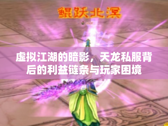 虚拟江湖的暗影，天龙私服背后的利益链条与玩家困境