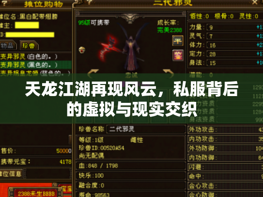 天龙江湖再现风云，私服背后的虚拟与现实交织