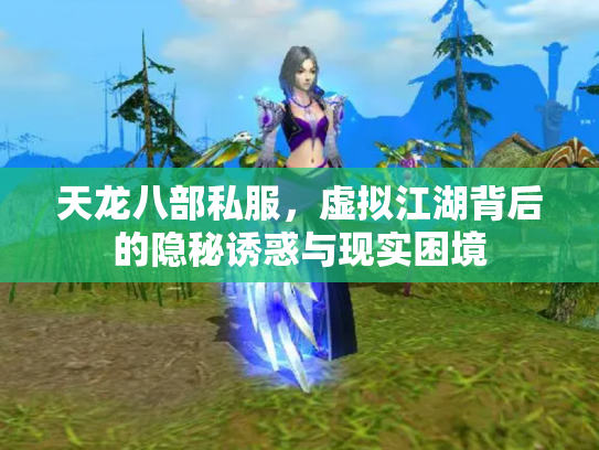 天龙八部私服，虚拟江湖背后的隐秘诱惑与现实困境